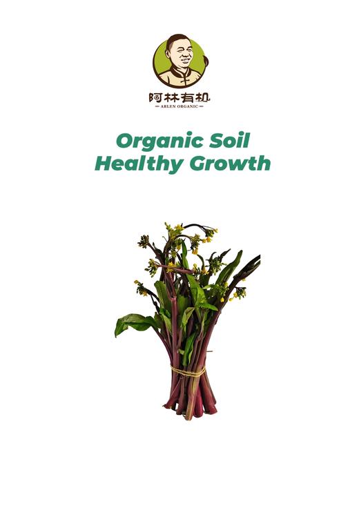 有机红菜苔500g 商品图0