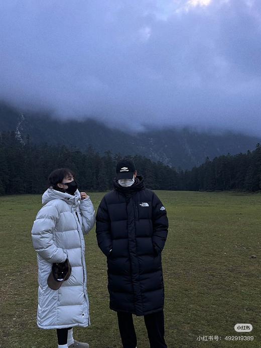 TNF男女长款羽绒服DRYVENT情侣款户外防风鹅绒外套 商品图1