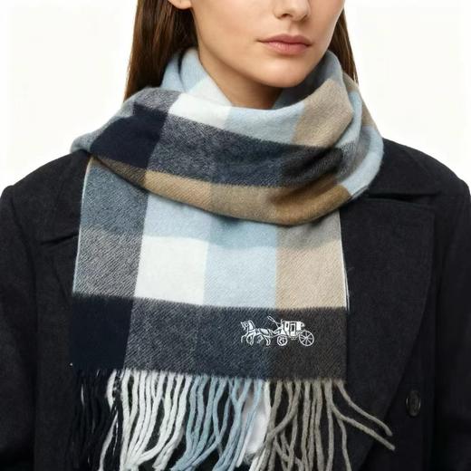 蔻驰KC新款，无主标水洗标，男女款100%羊毛围巾... 官网125美金... 商品图3