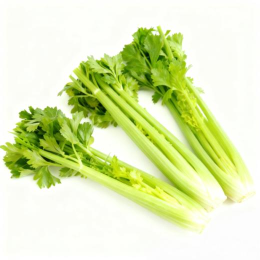 有机西芹 商品图2