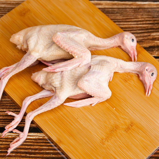 桂柳~乳鸽 杀好净膛发货 商品图1