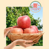 贵州威宁高原丑苹果/箱【GY】 商品缩略图1
