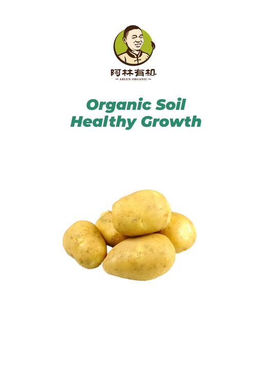 有机土豆500g 商品图0