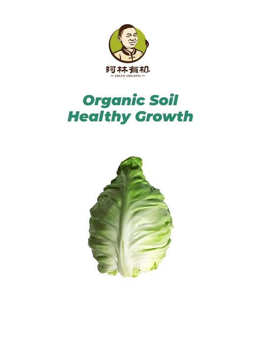 有机牛心包菜 商品图0