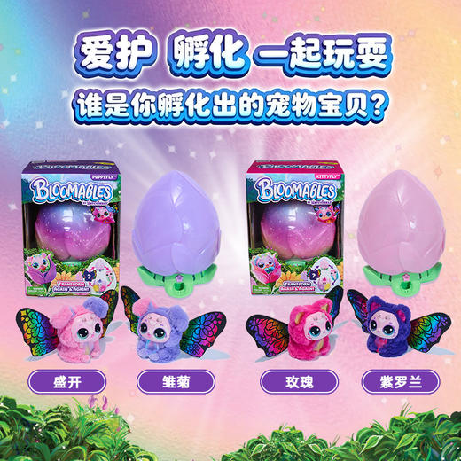 斯平马斯特Spin Master  哈驰魔法蛋蜕变花精灵版系列 商品图5