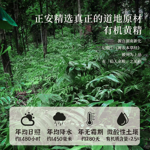 正安原材·有机黄精 九蒸九晒黄精多糖含量高【冷藏保存】 商品图4