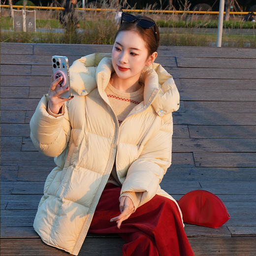 【特价不退换】【预售7天】良木礼连帽羽绒服（D1102611F） 商品图0