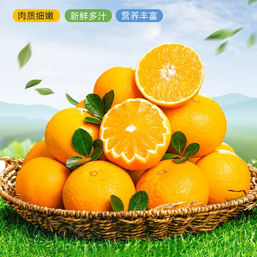 贵州有机独山蜂蜜脐橙/箱【GY】 商品图0