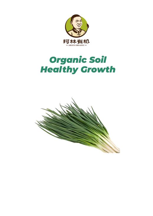 有机小葱100g 商品图0