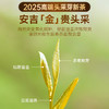 【直发】贡苑-225g精品黄金芽礼盒【头采芽】【5克*45包】 商品缩略图6