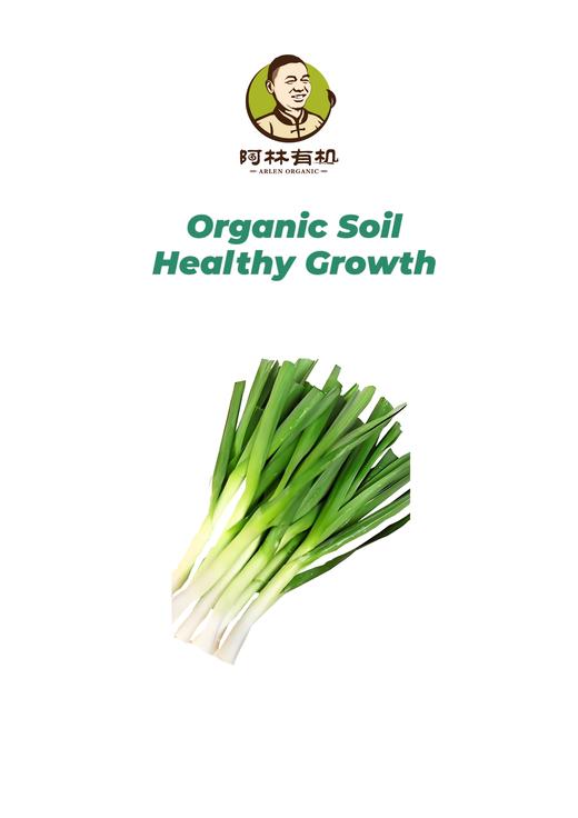 有机大蒜叶 商品图0