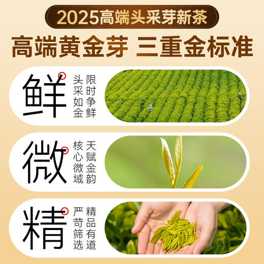【直发】贡苑-225g精品黄金芽礼盒【头采芽】【5克*45包】 商品图2