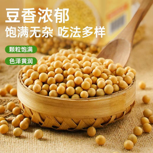 和粮溢田有机黄豆 商品图1