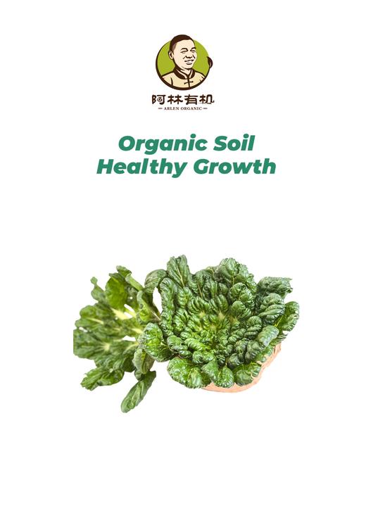 有机乌塌菜500g 商品图0