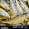 【现货】优质海产组合458型 商品缩略图3