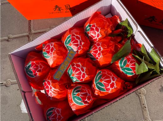 寸金地春见丑橘一箱 商品图1