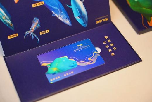 南海野生深海鱼礼品卡-高端海鲜！礼赠首选 商品图2