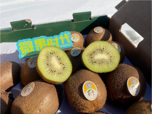 百泽奇异果一箱 商品图6