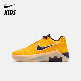 LeBron Witness 9 大童篮球鞋 HV2270