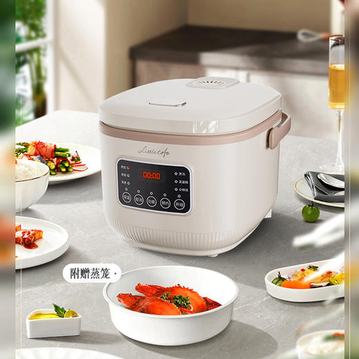 小画仙电饭煲LDFB-4069E 商品图0