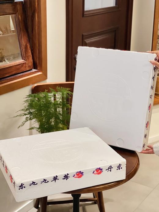 STRAWBERRY  丹东草莓 商品图4