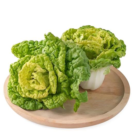 有机黄心乌菜 商品图2