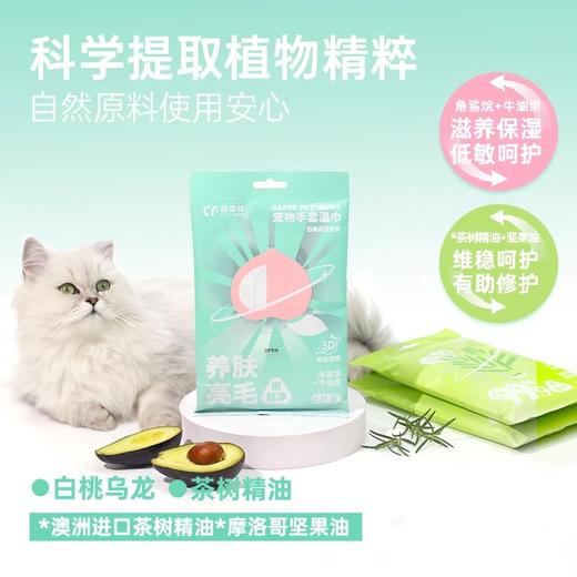 【赠品链接，单拍不发货】12月满239赠品 商品图0