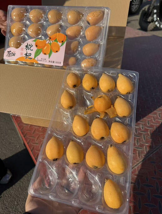 长虹枇杷  口感润田 这个季节枇杷界甜度高的 商品图9