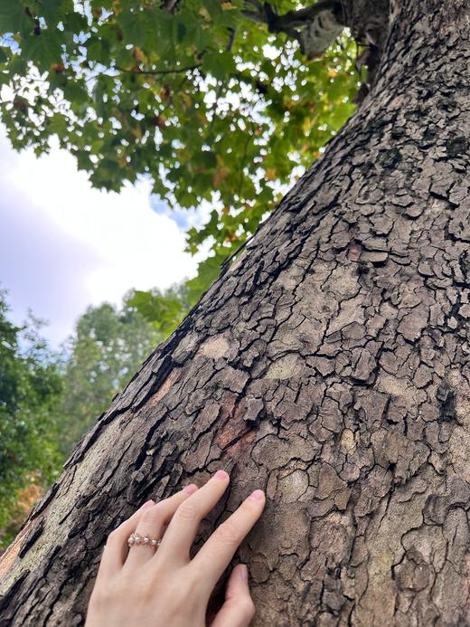 SpoiledBrat Jewelry 凡尔赛系列 | 绿玉髓 橘玛瑙 尖晶石软戒指 商品图6