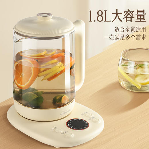 小画仙养生壶LYSH-1805E 商品图2