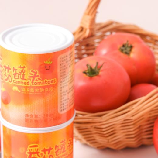 有机番茄罐头280g*4罐，可做番茄火锅底汤，炖菜，下面条等，开罐即用，健康美味 商品图4