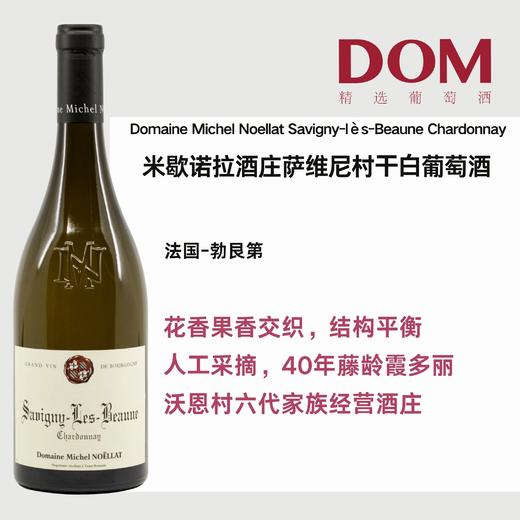 米歇诺拉酒庄萨维尼村干白葡萄酒 商品图0