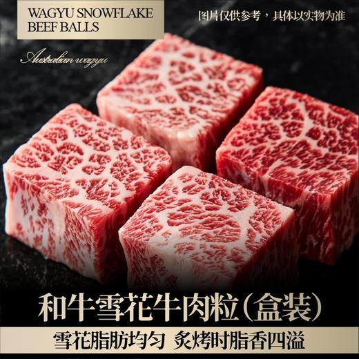 【现货】26年缤纷肉肉安格斯和牛牛肉组合458型 商品图3