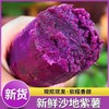 【严选】【金新农】湖北新鲜沙地粉糯香甜紫薯3斤/5斤装    （厂家直发） 商品缩略图4