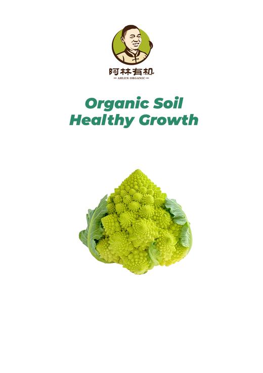 有机绿宝塔500g 商品图0