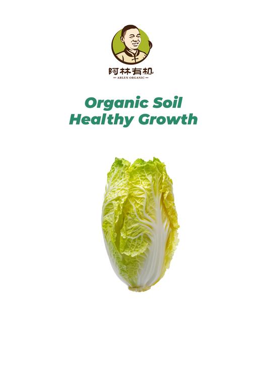 有机娃娃菜 500g 商品图0