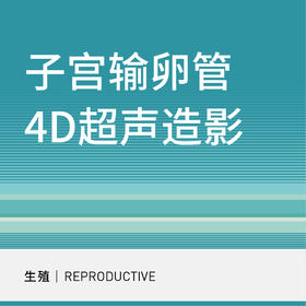 【适用北三环院区】子宫输卵管4D超声造影（不含麻醉）