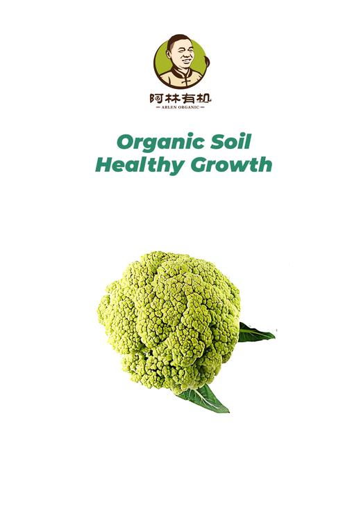 有机青花菜500g 商品图0