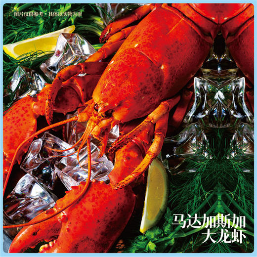 【现货】超级锦鲤进口海鲜礼2888型 商品图3