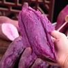 【严选】【金新农】湖北新鲜沙地粉糯香甜紫薯3斤/5斤装    （厂家直发） 商品缩略图0