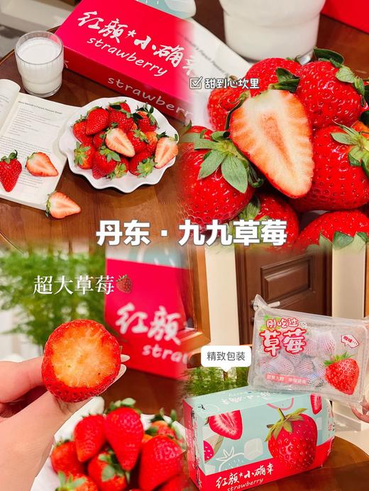 STRAWBERRY  丹东草莓 商品图1