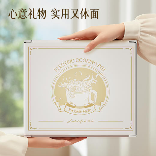 小画仙电煮锅LDZG-0106 商品图1