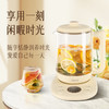 小画仙养生壶LYSH-1805E 商品缩略图1