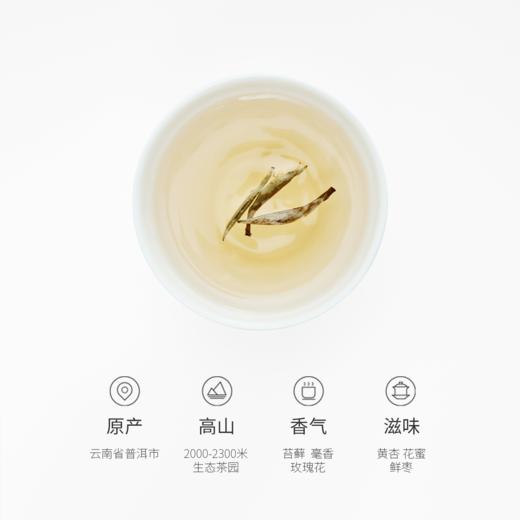 山田土&隐者山河电影联名款 景谷白茶 商品图3