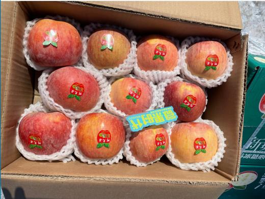 绿箱红皮阿克苏苹果一箱（12斤左右） 商品图0