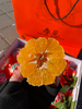寸金地春见丑橘一箱 商品缩略图2