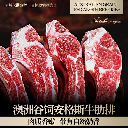 【现货】26年缤纷肉肉安格斯和牛牛肉组合598型 商品图3