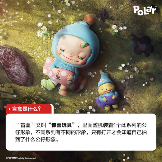 POP MART泡泡玛特 POLAR-你好宝拉季系列手办盲盒 商品图2