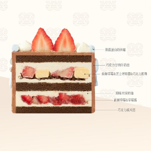 ⚜️巧莓芭蕾 商品图1