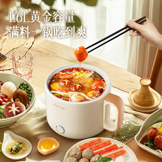 小画仙电煮锅LDZG-0106 商品图3